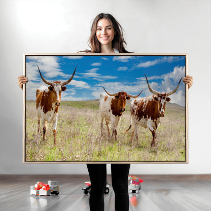Three Texas longhorn cattle standing in dry grass under a bright blue sky, ideal for farmhouse or western rustic home decor.