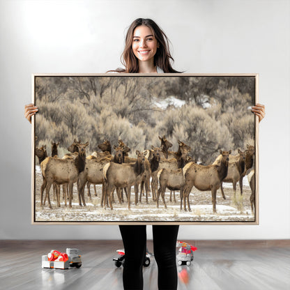 A large herd of elk standing in an open field with soft earthy tones, ideal for rustic lodge or western-themed home wall decor.