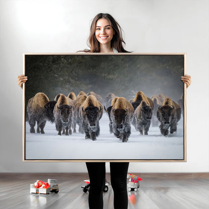 A herd of American bisons walking through deep snow in a forest, evoking a powerful rustic wilderness mood for western-style interiors.