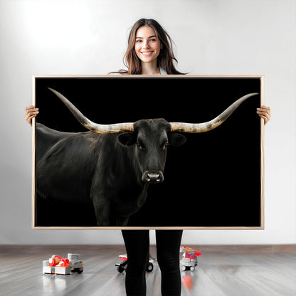 Close-up of a black Texas longhorn with large curved horns on black background, ideal for rustic farmhouse or modern western interiors.