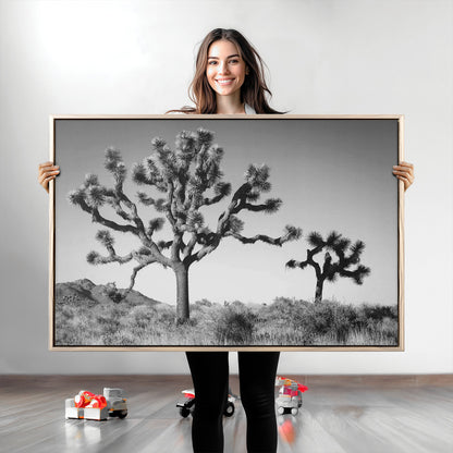 Black and white Joshua trees in a rugged desert landscape, creating a calm and minimalist feel for natural or rustic-themed interiors.