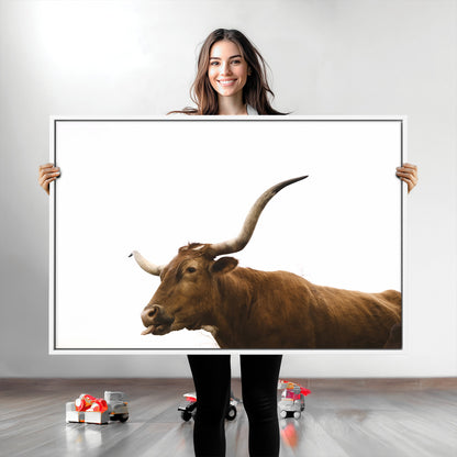 Minimal photo of a longhorn cow with white background, ideal for rustic, western or farmhouse-style interior decor.
