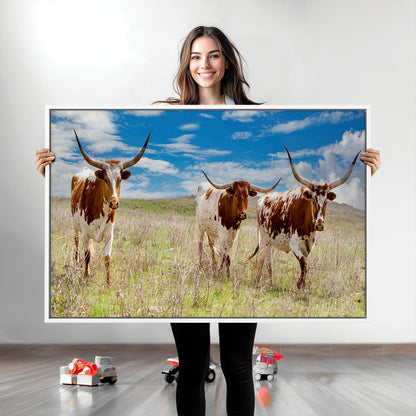 Three Texas longhorn cattle standing in dry grass under a bright blue sky, ideal for farmhouse or western rustic home decor.