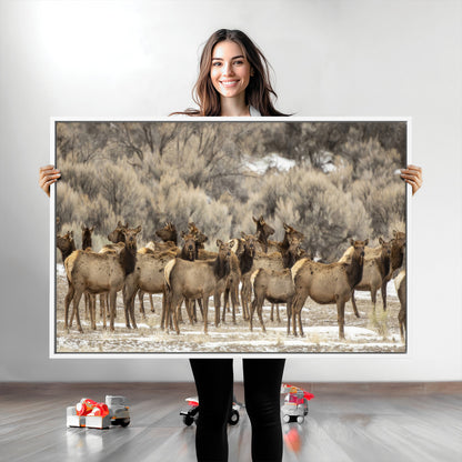 A large herd of elk standing in an open field with soft earthy tones, ideal for rustic lodge or western-themed home wall decor.