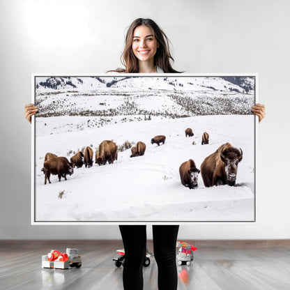 A herd of bison walking through deep snow in a mountain valley, perfect for rustic, cabin or western-themed wall decor.