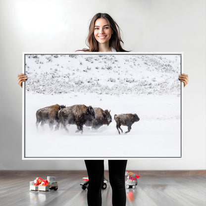 Bison herd running through a snowy open field with mountain backdrop, perfect for rustic or western-themed wall decoration.