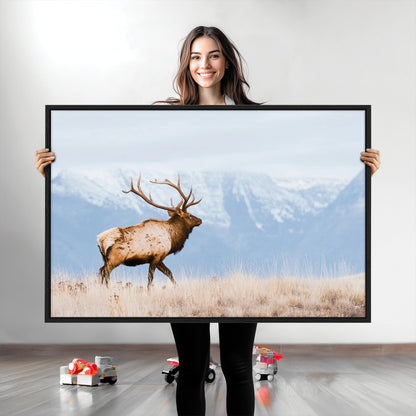 An elk walking on snowy grassland with majestic mountains in the background, ideal for rustic lodge or cabin wall decor.