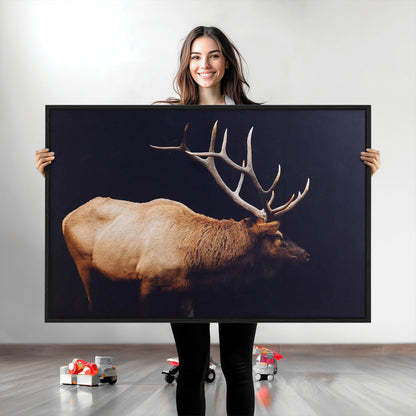 Side profile of an elk with large antlers on dark background, creating a bold rustic statement for cabin or Western-themed decor.