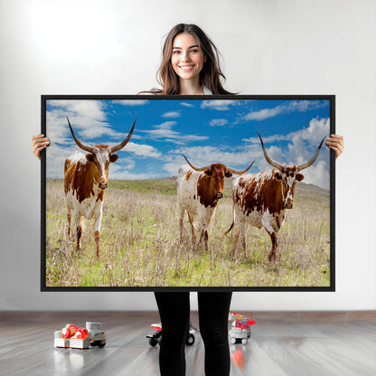 Three Texas longhorn cattle standing in dry grass under a bright blue sky, ideal for farmhouse or western rustic home decor.
