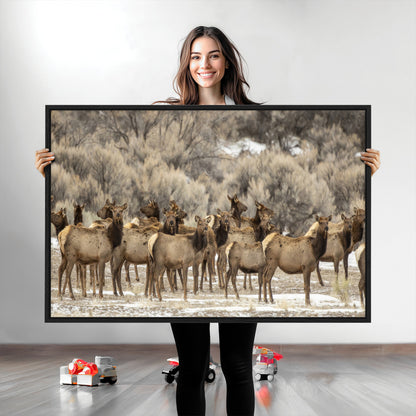 A large herd of elk standing in an open field with soft earthy tones, ideal for rustic lodge or western-themed home wall decor.