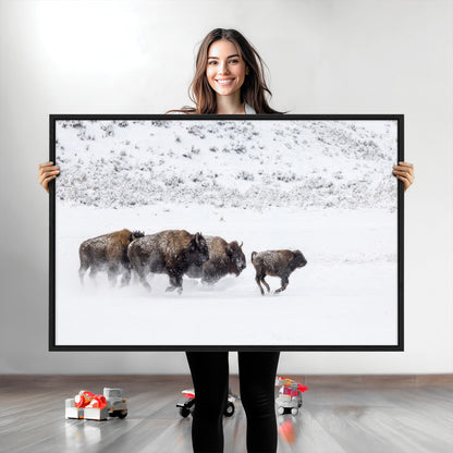 Bison herd running through a snowy open field with mountain backdrop, perfect for rustic or western-themed wall decoration.