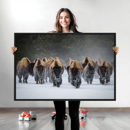 A herd of American bisons walking through deep snow in a forest, evoking a powerful rustic wilderness mood for western-style interiors.