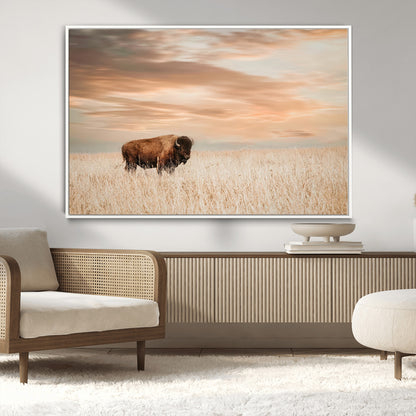 Bison Wall Art Print - Buffalo Canvas Print, featuring a lone bison in a golden prairie under a warm sunset sky, perfect for rustic and farmhouse decor.