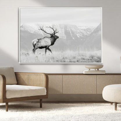 Black and white photograph of a majestic elk standing in a grassy field with snow-capped mountains in the background, creating a bold and rustic wilderness scene.