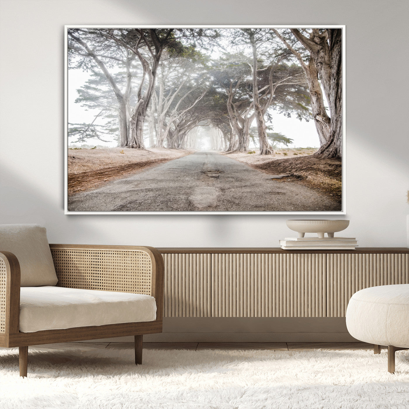 Canvas of a misty tree tunnel with arching cypress trees and an earthy road, ideal for rustic or coastal nature decor.