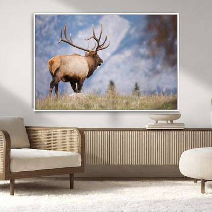Elk with antlers standing on grass with mountain background, ideal for rustic, cabin, or lodge-inspired wall decor.