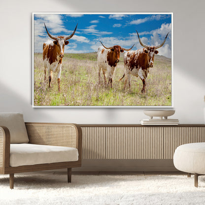 Three Texas longhorn cattle standing in dry grass under a bright blue sky, ideal for farmhouse or western rustic home decor.