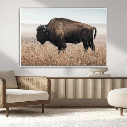 A lone bison stands in a vast prairie under a soft sky, evoking freedom and rustic charm for western or farmhouse inspired interiors.
