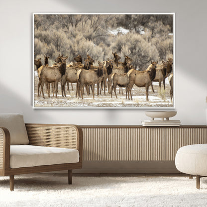 A large herd of elk standing in an open field with soft earthy tones, ideal for rustic lodge or western-themed home wall decor.