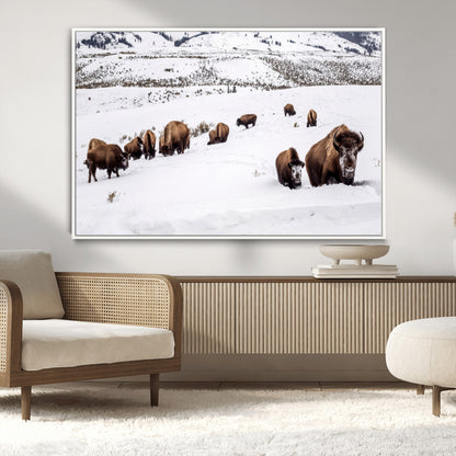 A herd of bison walking through deep snow in a mountain valley, perfect for rustic, cabin or western-themed wall decor.