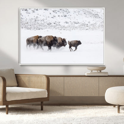 Bison herd running through a snowy open field with mountain backdrop, perfect for rustic or western-themed wall decoration.