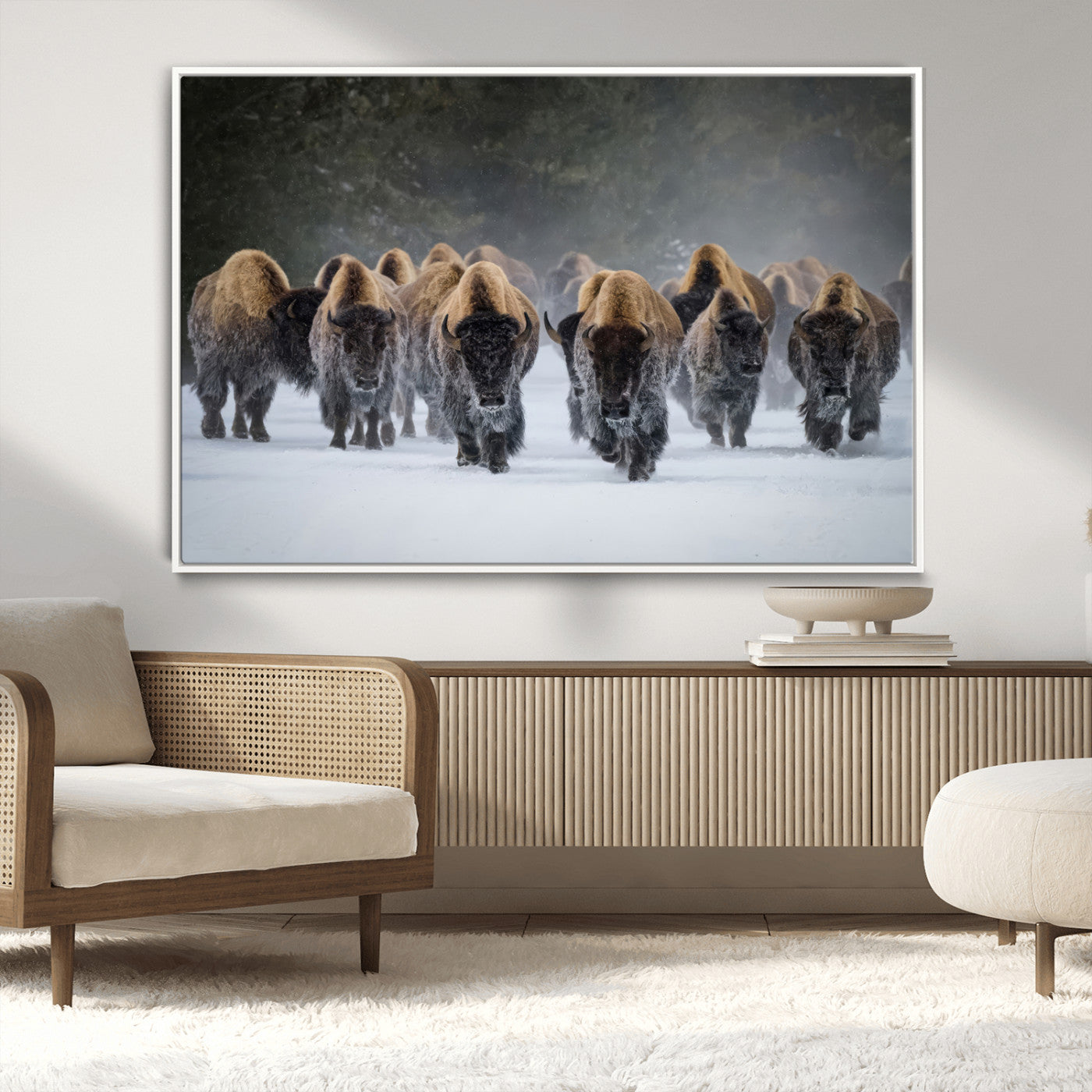 A herd of American bisons walking through deep snow in a forest, evoking a powerful rustic wilderness mood for western-style interiors.