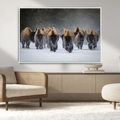 A herd of American bisons walking through deep snow in a forest, evoking a powerful rustic wilderness mood for western-style interiors.