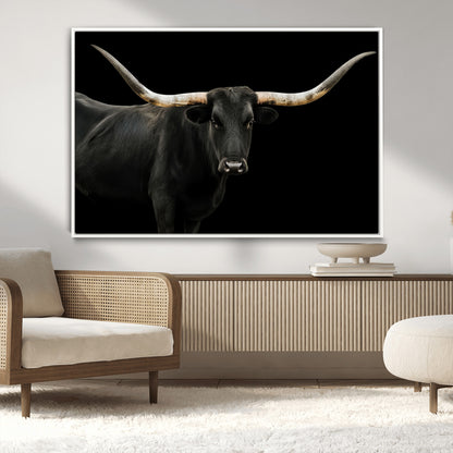 Close-up of a black Texas longhorn with large curved horns on black background, ideal for rustic farmhouse or modern western interiors.