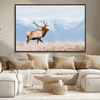 An elk walking on snowy grassland with majestic mountains in the background, ideal for rustic lodge or cabin wall decor.