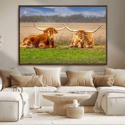 Two longhorn cows lying on green grass in front of a golden field and trees under a blue sky, perfect for rustic country wall decor.