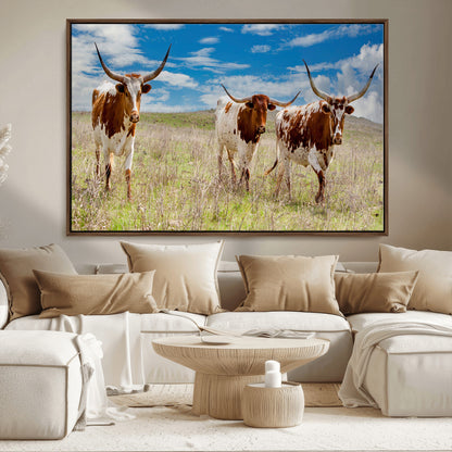 Three Texas longhorn cattle standing in dry grass under a bright blue sky, ideal for farmhouse or western rustic home decor.