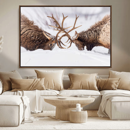 Two elk clashing antlers in a snowy forest, capturing raw power and wild energy, ideal for rustic cabin or lodge-style decor.