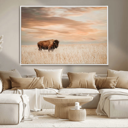 Bison Wall Art Print - Buffalo Canvas Print, featuring a lone bison in a golden prairie under a warm sunset sky, perfect for rustic and farmhouse decor.