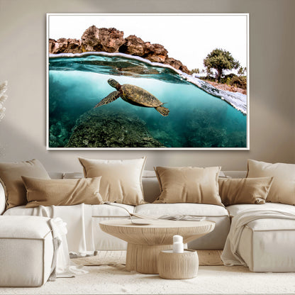 Dynamic split-view photo of a sea turtle swimming near rocky shores, perfect for vibrant coastal or tropical beach home decor.