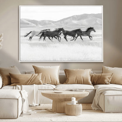 A black and white image of wild horses running freely across an open grassland, capturing the power and beauty of untamed nature in a rustic western setting.