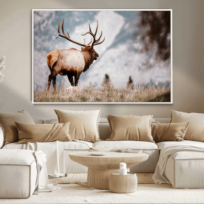 Majestic elk with large antlers standing in grass with snowy mountains in background, perfect for rustic cabin or lodge style decor.