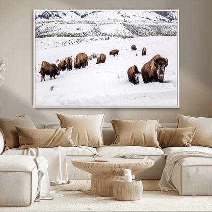A herd of bison walking through deep snow in a mountain valley, perfect for rustic, cabin or western-themed wall decor.