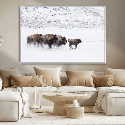 Bison herd running through a snowy open field with mountain backdrop, perfect for rustic or western-themed wall decoration.