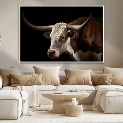"Close-up of a brown and white longhorn cow with prominent curved horns against a black background."