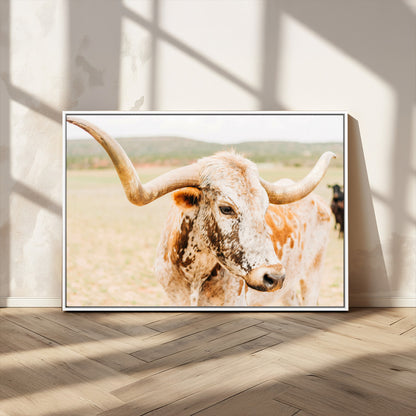 Close-up of a speckled Texas Longhorn in warm prairie tones, perfect for rustic western or countryside-themed room decor.