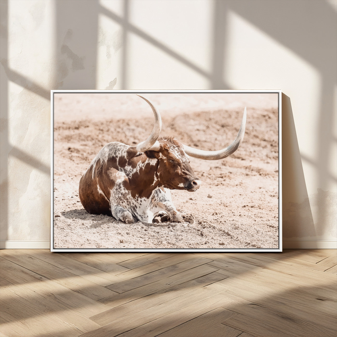 Texas Longhorn bull resting on dusty ground with warm tones, ideal for rustic western or farmhouse-themed wall decor.