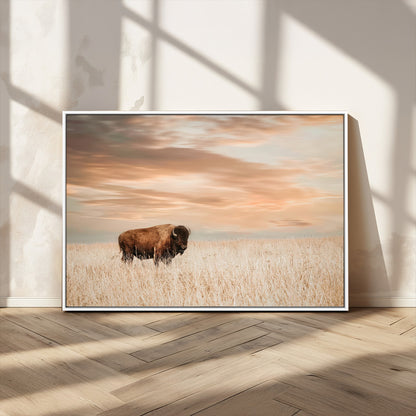 Bison Wall Art Print - Buffalo Canvas Print, featuring a lone bison in a golden prairie under a warm sunset sky, perfect for rustic and farmhouse decor.