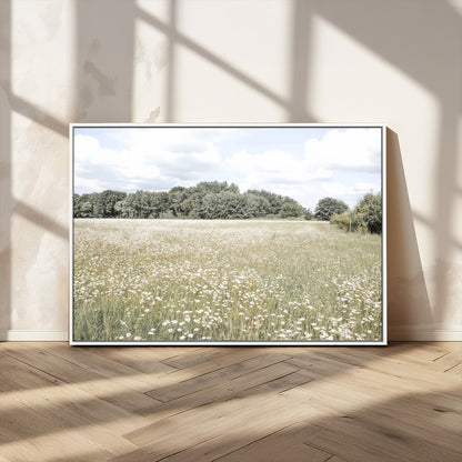 Soft-toned image of a wild daisy field under a cloudy sky, ideal for neutral or Scandinavian-inspired home decor.