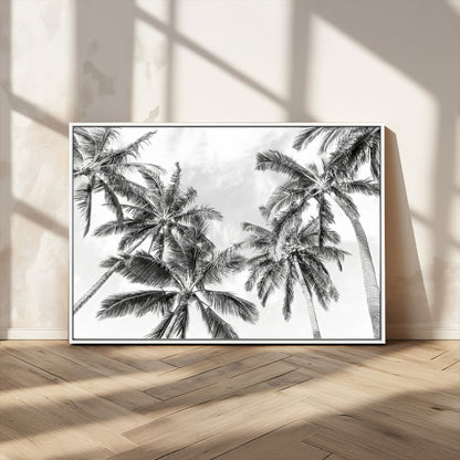 Black and white tropical palm trees viewed from below, swaying gently against a bright sky, creating a serene and elegant coastal atmosphere.
