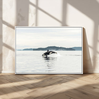 An orca jumping out of calm ocean waters with a misty island in the background, creating a serene and minimalist marine wildlife scene.