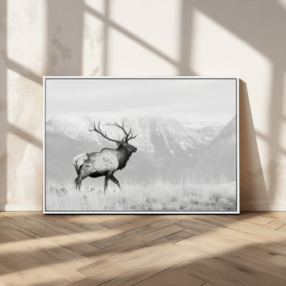 Black and white photograph of a majestic elk standing in a grassy field with snow-capped mountains in the background, creating a bold and rustic wilderness scene.