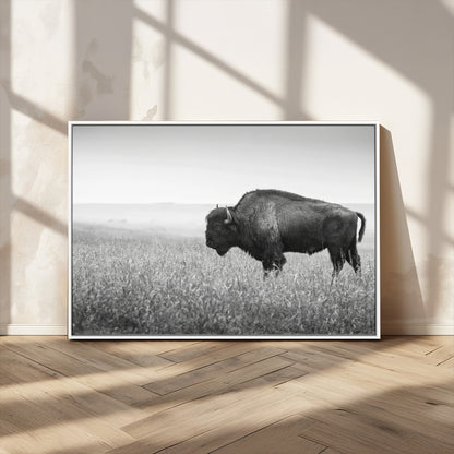 A black and white photograph of a majestic bison standing in a vast grassy prairie, evoking a sense of wilderness and strength.