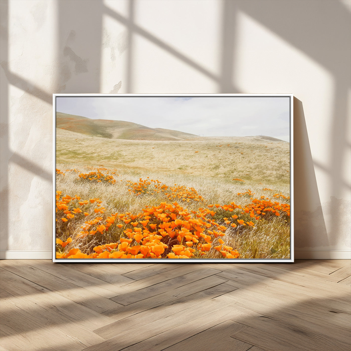 A golden field with vibrant orange poppies blooming across rolling hills under a soft, sunlit sky, creating a warm and rustic landscape.