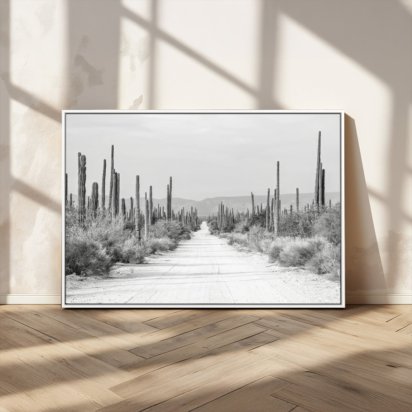 A black and white desert road stretching through a cactus-filled landscape, creating a rugged and timeless southwestern aesthetic with a sense of adventure.