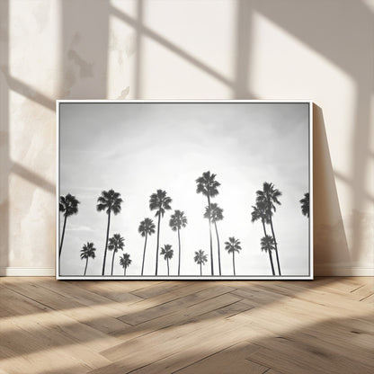 A black and white minimalist scene featuring tall palm trees silhouetted against a bright sky, creating a dreamy and timeless tropical aesthetic.